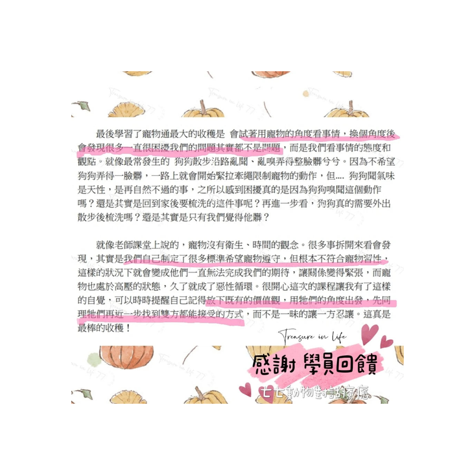 寵物溝通實體課