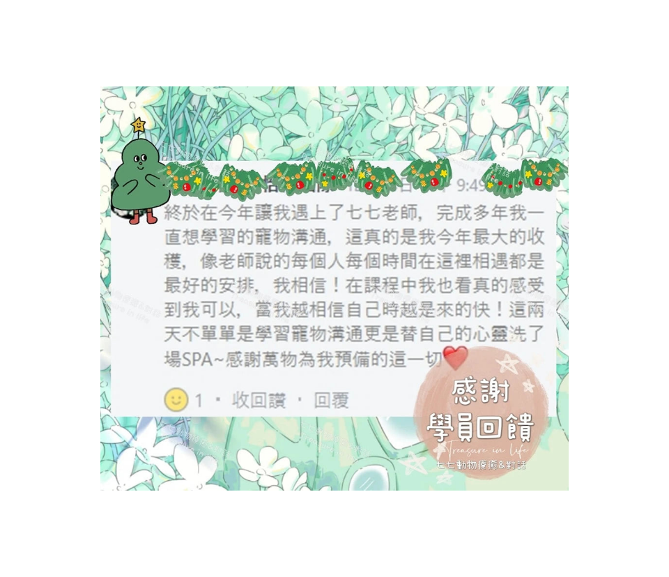寵物溝通實體課