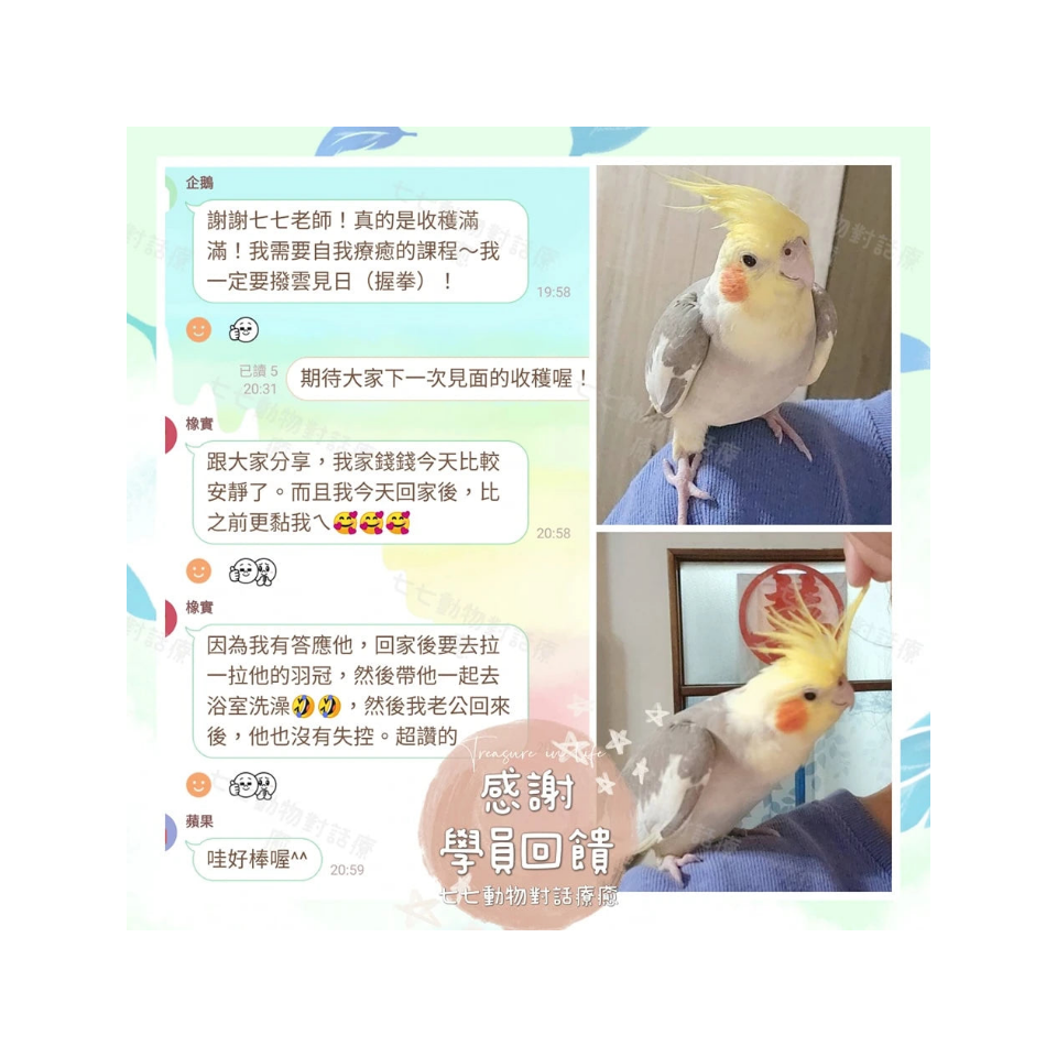 寵物溝通實體課