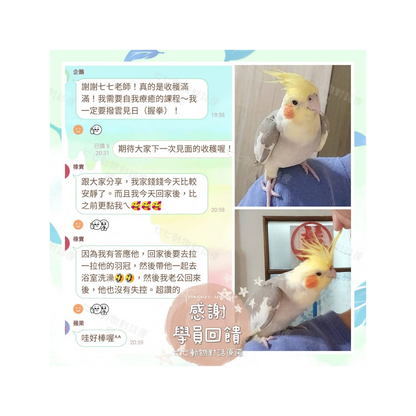 寵物溝通實體課