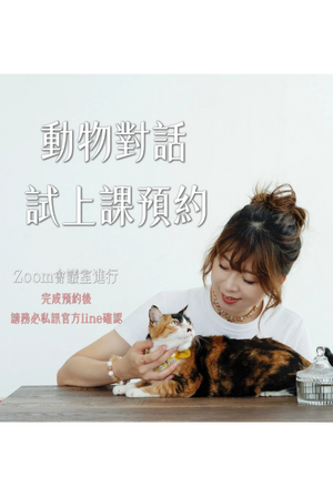 公益體驗課：寵物溝通是真的嗎？