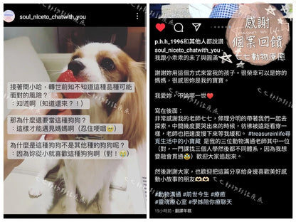 寵物客製化療癒（在世/離世）