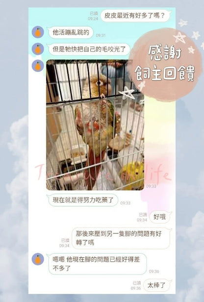 寵物客製化療癒（在世/離世）