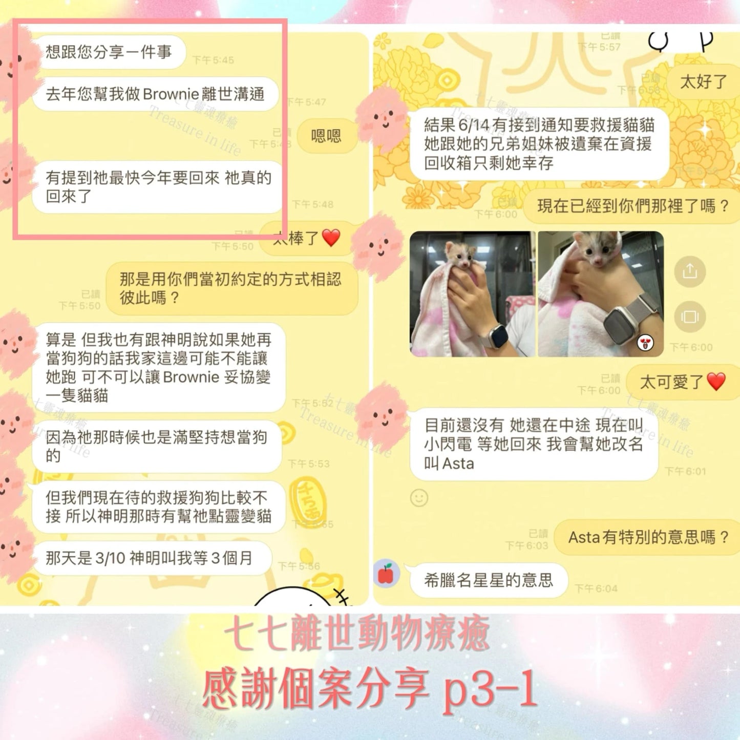 寵物客製化療癒（在世/離世）