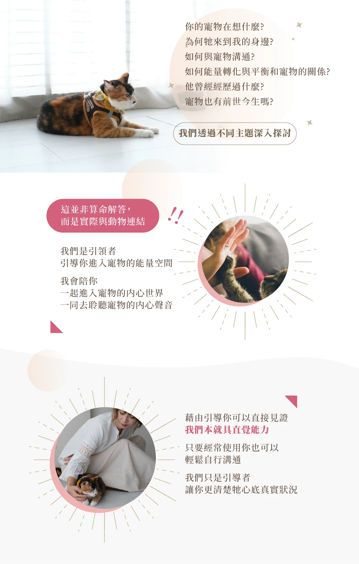 寵物溝通實體課