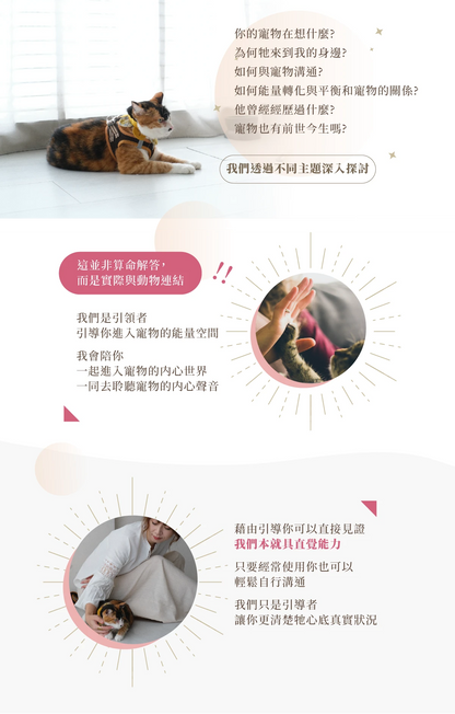 寵物溝通實體課