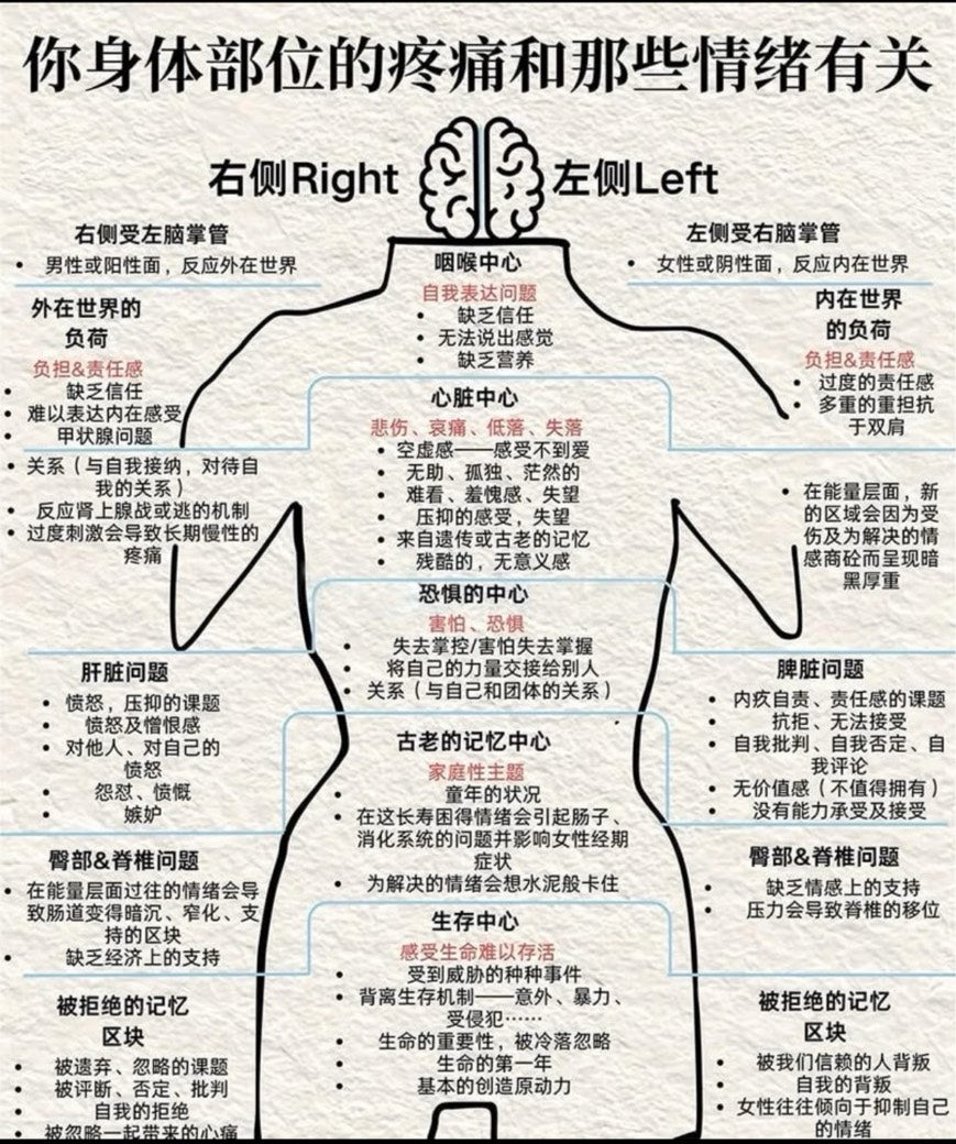 花精 腹腔暖宮循環｜VICKY老師