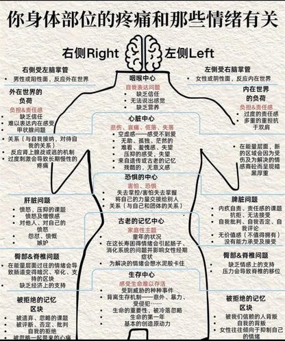 花精 腹腔暖宮循環｜VICKY老師